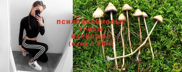 молекула духа Няндома