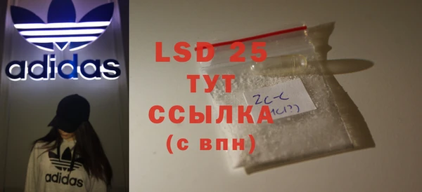 крисы Новозыбков
