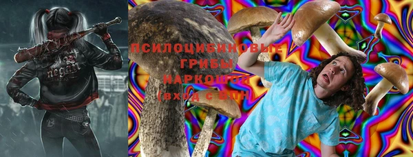 мдпв Новодвинск