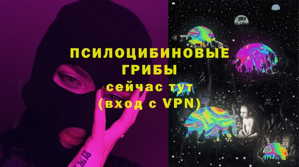 крисы Новозыбков