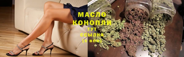 крисы Новозыбков