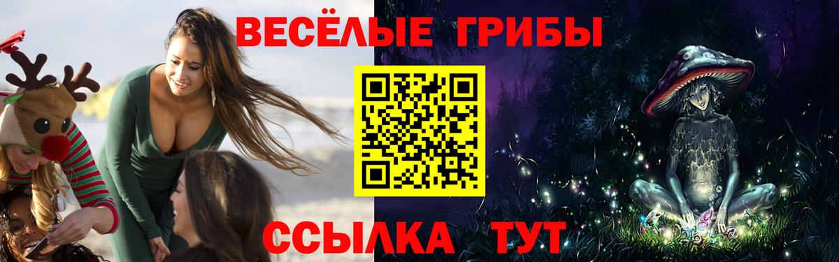 Галлюциногенные грибы мицелий Заинск